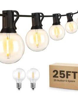 TECPHILE G40 Outdoor String Lights 25ft Decorative LED Bulbs IP65 Waterproof Shatterproof Indoor/Outdoor Lighting 0.6W Energy Saving Hanging Light for Backyard Terrace Garden Balcony (25+2 Bulbs) TECPHILE G40 Outdoor String Lights 25ft Decorative LED Bulbs IP65 Waterproof Shatterproof Indoor/Outdoor Lighting 0.6W Energy Saving Hanging Light for Backyard Terrace Garden Balcony (25+2 Bulbs)