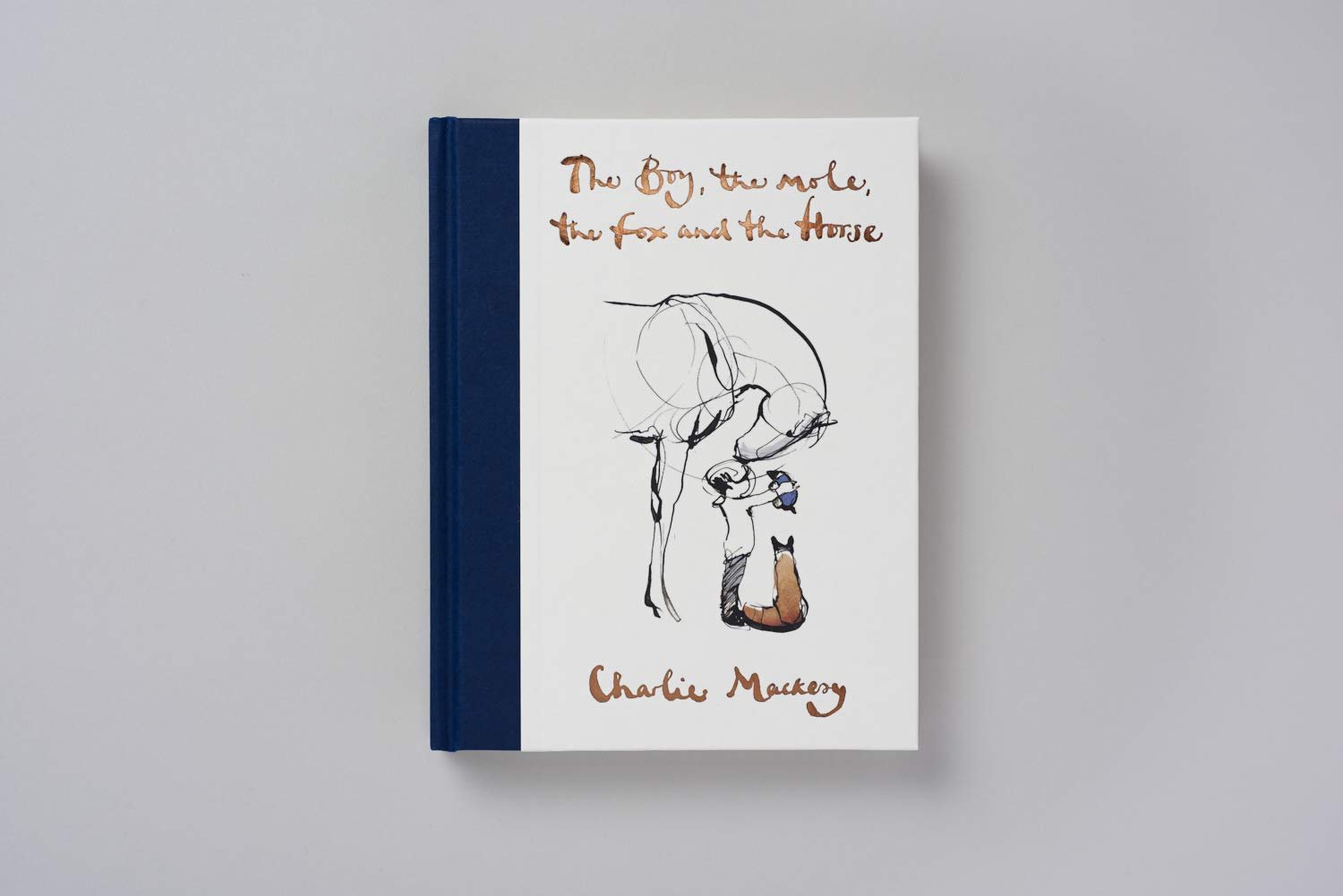 Boy, The Mole, The Fox and The Horse, Th - Image 8