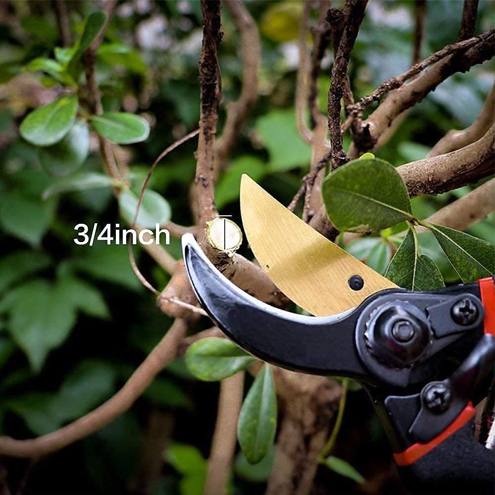 ELMVIA Garden Scissors And Cutter/Branch/Cutting Scissors/Pruners For Plants/Pruning Cutter/Grafting Knife For Lawn, Garden & Potted Plants (HEAVY DUTY) - Image 3