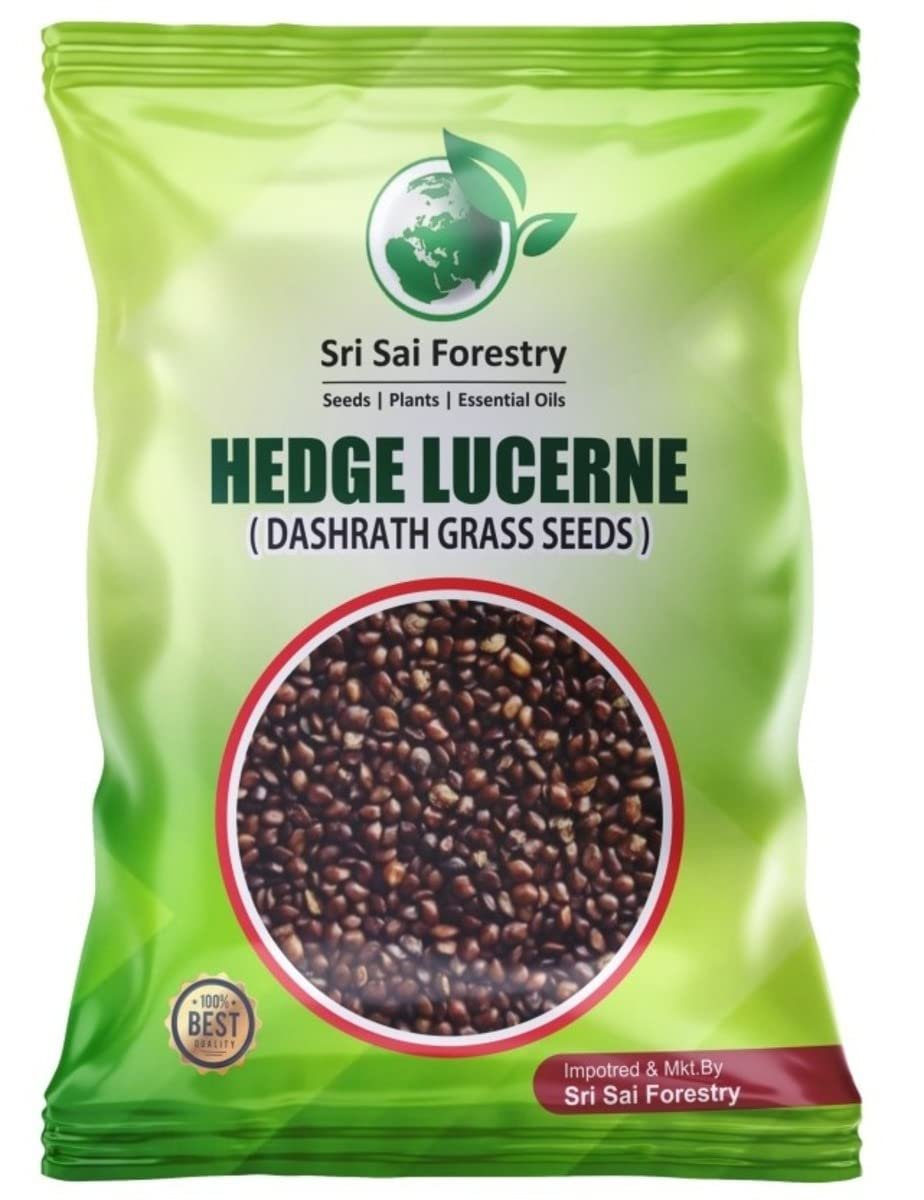 SRI SAI FORESTRY - Cattle Fodder Grass Seeds Kit - Super Napier + Red Napier + Hedge Lucerne + Berseem Grass Seeds - Pack of 100 Gram each - Image 4