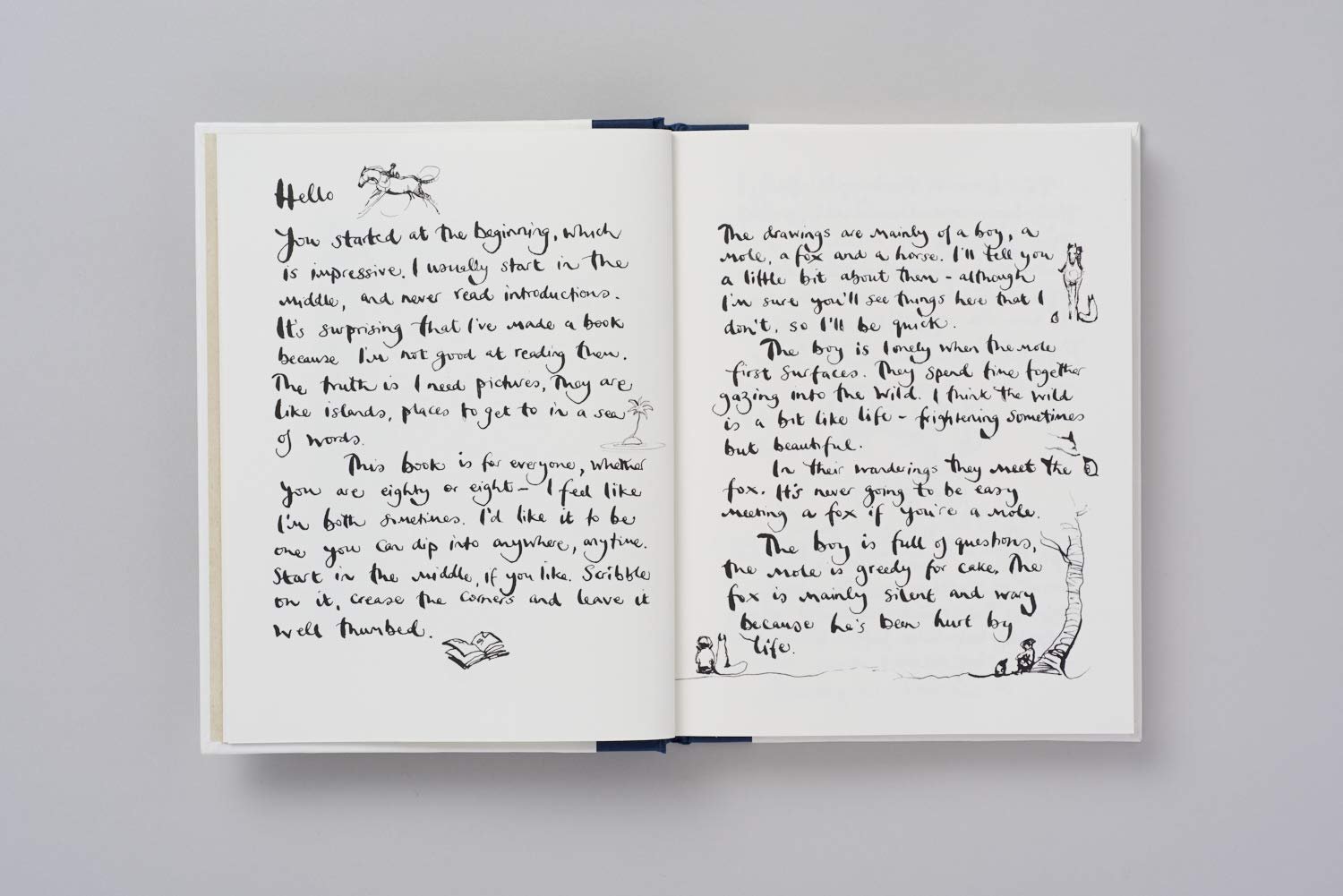 Boy, The Mole, The Fox and The Horse, Th - Image 4