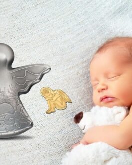 TREASURE WORLD COLLECTIBLES My Guardian Angel 1 Oz Silver Coin and 0.5 g Gold Coin Palau 2019