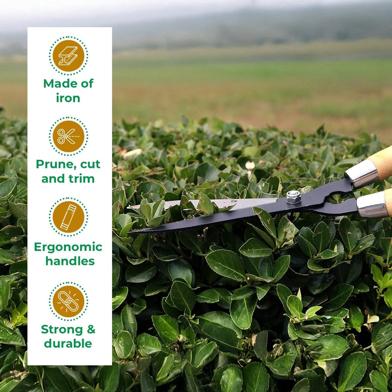 TrustBasket Heavy Duty Garden Shear – (4.5 mm Think, 7 inch Long, Metal Blade) Comfortable Grip for Trimming, Pruning, Cutting, Hedge Cutter Tool for Lawn, Hedge Trimmer for Garden - Image 3