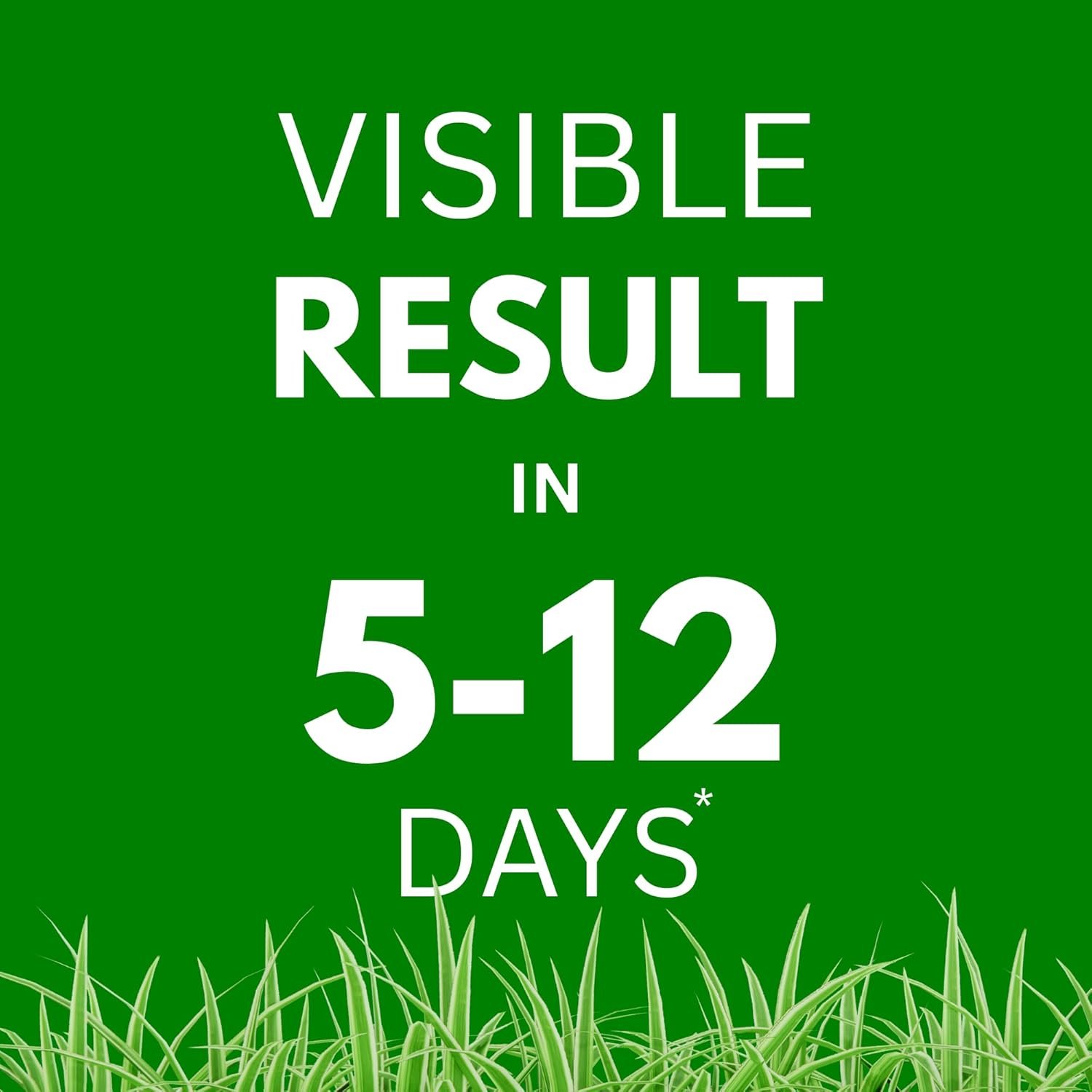 American Bermuda Grass Seeds for Lawn, Turf, Cricket Ground, Stadium, Park, Farmhouse, Sports Field, Garden Grass, Fast Growing, Green Grass, Gardening Seeds | Free Growing Guide | (10 gram) - Image 3