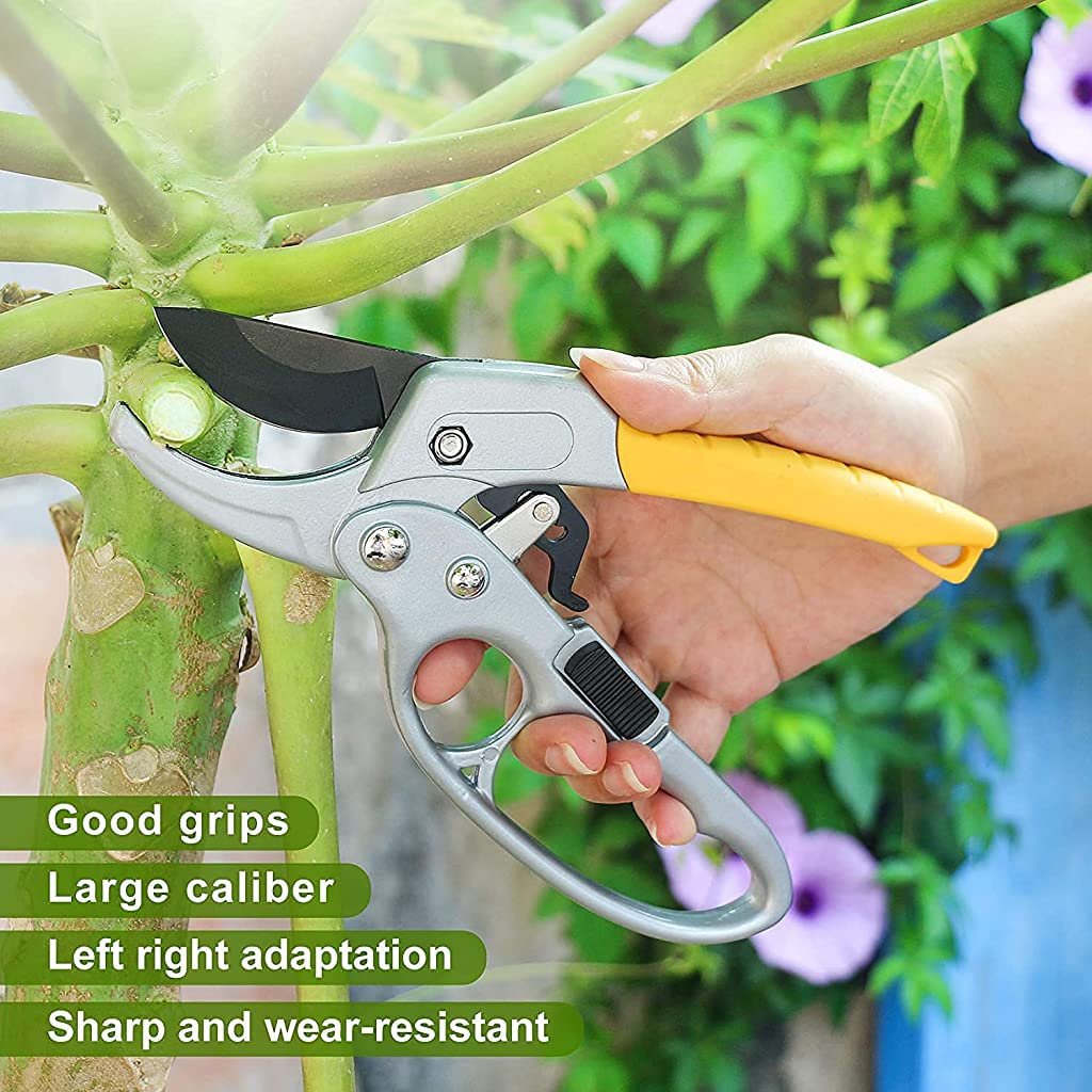 HASTHIP® Gardening Scissor Stainless Steel Garden Snip with Safety Lock Garden Shears Sharp Cutter Pruners Scissor for Lawn, Garden & Potted Plants (A) - Image 9