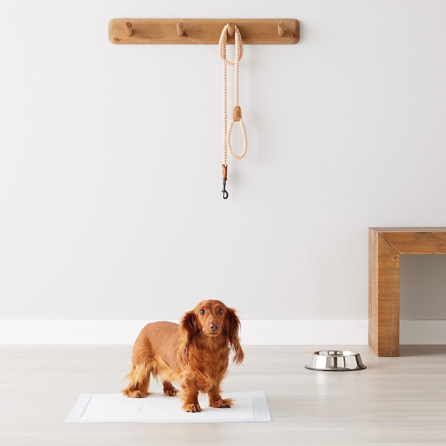 AmazonBasics Pet Pee Pads for Potty Training| Standard | Regular 56 x 56cms | 50 Pieces | Leak-Proof Quick Dry Design, 5-Layer Design, for Small Dogs and Puppies (Standard, Regular Size, 50 Pads) - Image 6