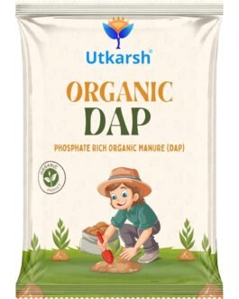 Utkarsh Organic DAP Fertilizers for Plants, Phosphate Rich Organic Manure for Home Garden & Nursery, Khaad for Flowers, Vegetables & Lawn (900 gm; Pack of 1) Utkarsh Organic DAP Fertilizers for Plants, Phosphate Rich Organic Manure for Home Garden & Nursery, Khaad for Flowers, Vegetables & Lawn (900 gm; Pack of 1)