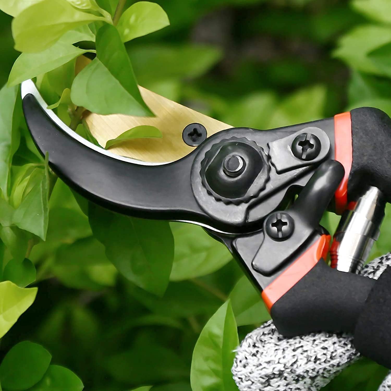 ELMVIA Garden Scissors And Cutter/Branch/Cutting Scissors/Pruners For Plants/Pruning Cutter/Grafting Knife For Lawn, Garden & Potted Plants (HEAVY DUTY) - Image 6