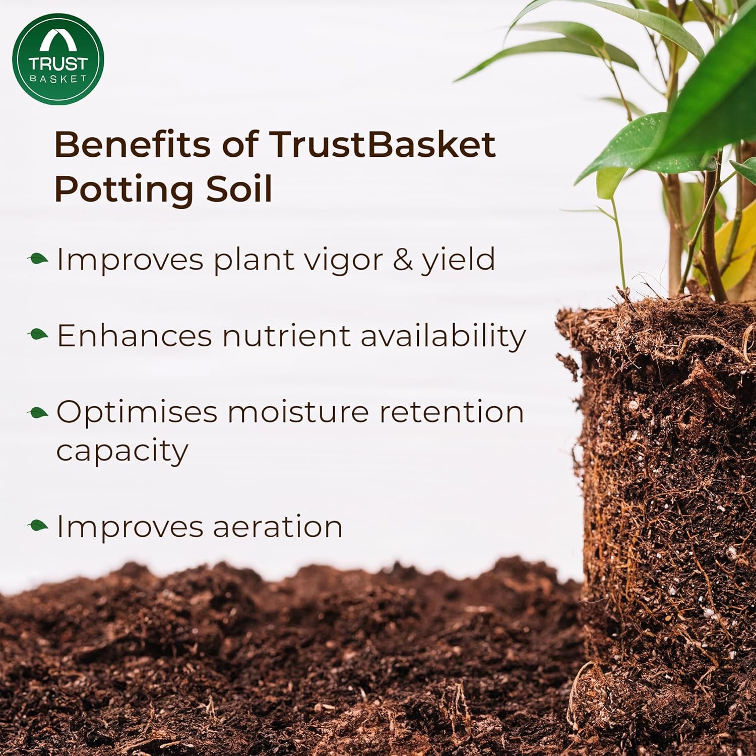 TrustBasket Enriched organic Earth Magic Potting Soil Fertilizer for Plants, 5 Kg - Image 3