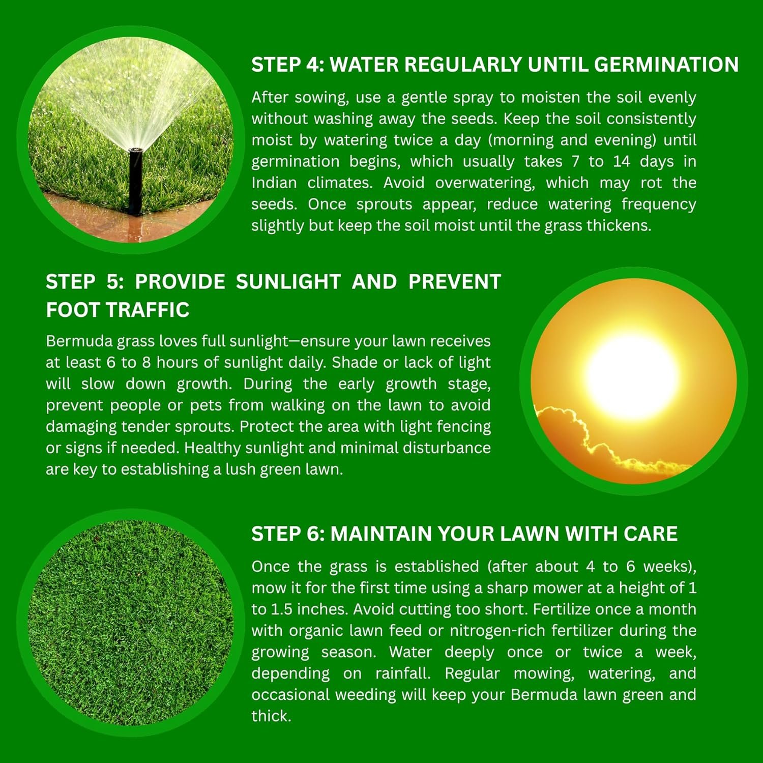 American Bermuda Grass Seeds for Lawn, Turf, Cricket Ground, Stadium, Park, Farmhouse, Sports Field, Garden Grass, Fast Growing, Green Grass, Gardening Seeds | Free Growing Guide | (10 gram) - Image 7