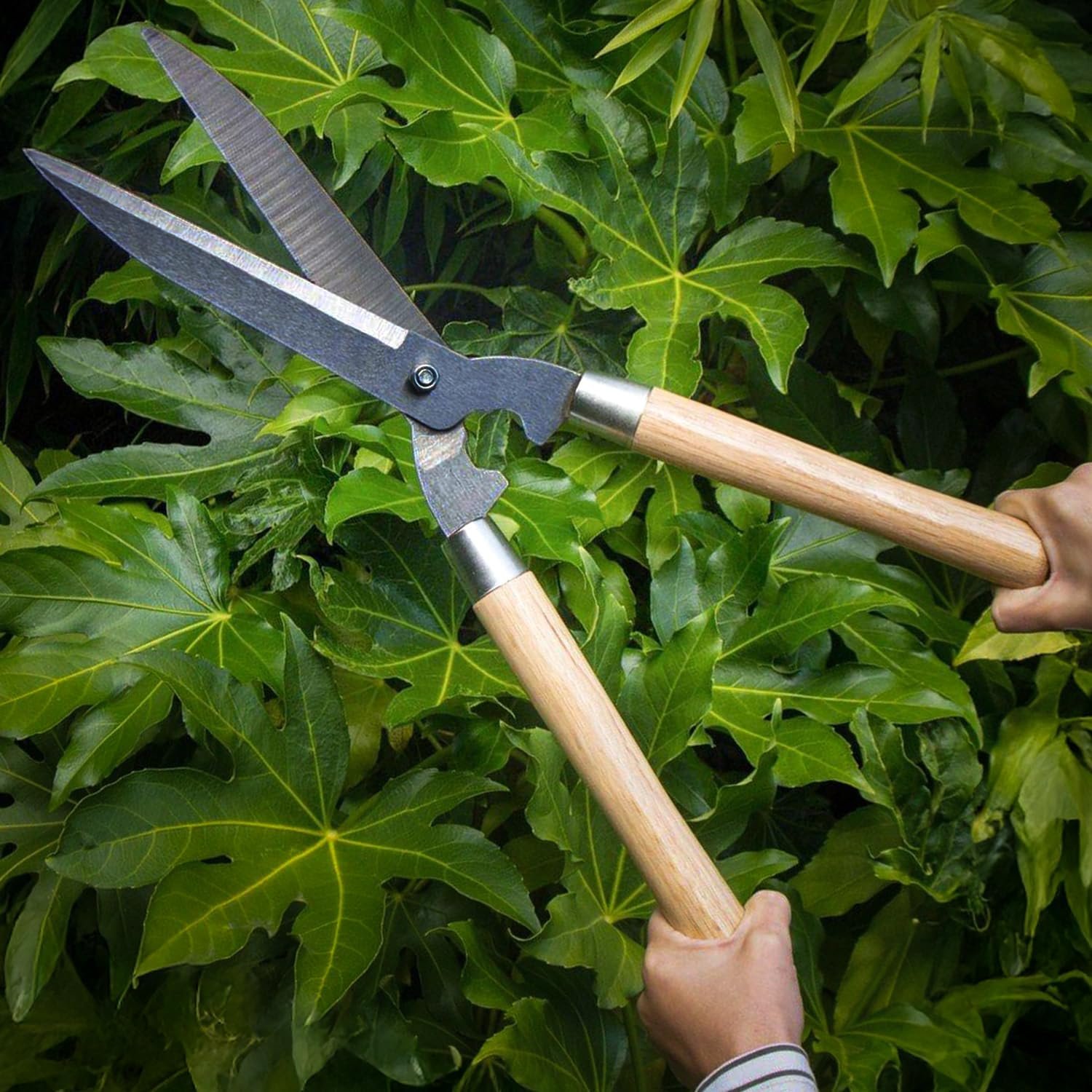 TrustBasket Heavy Duty Garden Shear – (4.5 mm Think, 7 inch Long, Metal Blade) Comfortable Grip for Trimming, Pruning, Cutting, Hedge Cutter Tool for Lawn, Hedge Trimmer for Garden - Image 8