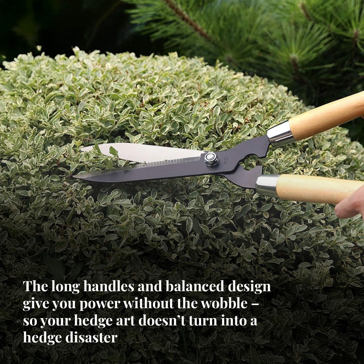 TrustBasket Heavy Duty Garden Shear – (4.5 mm Think, 7 inch Long, Metal Blade) Comfortable Grip for Trimming, Pruning, Cutting, Hedge Cutter Tool for Lawn, Hedge Trimmer for Garden - Image 6