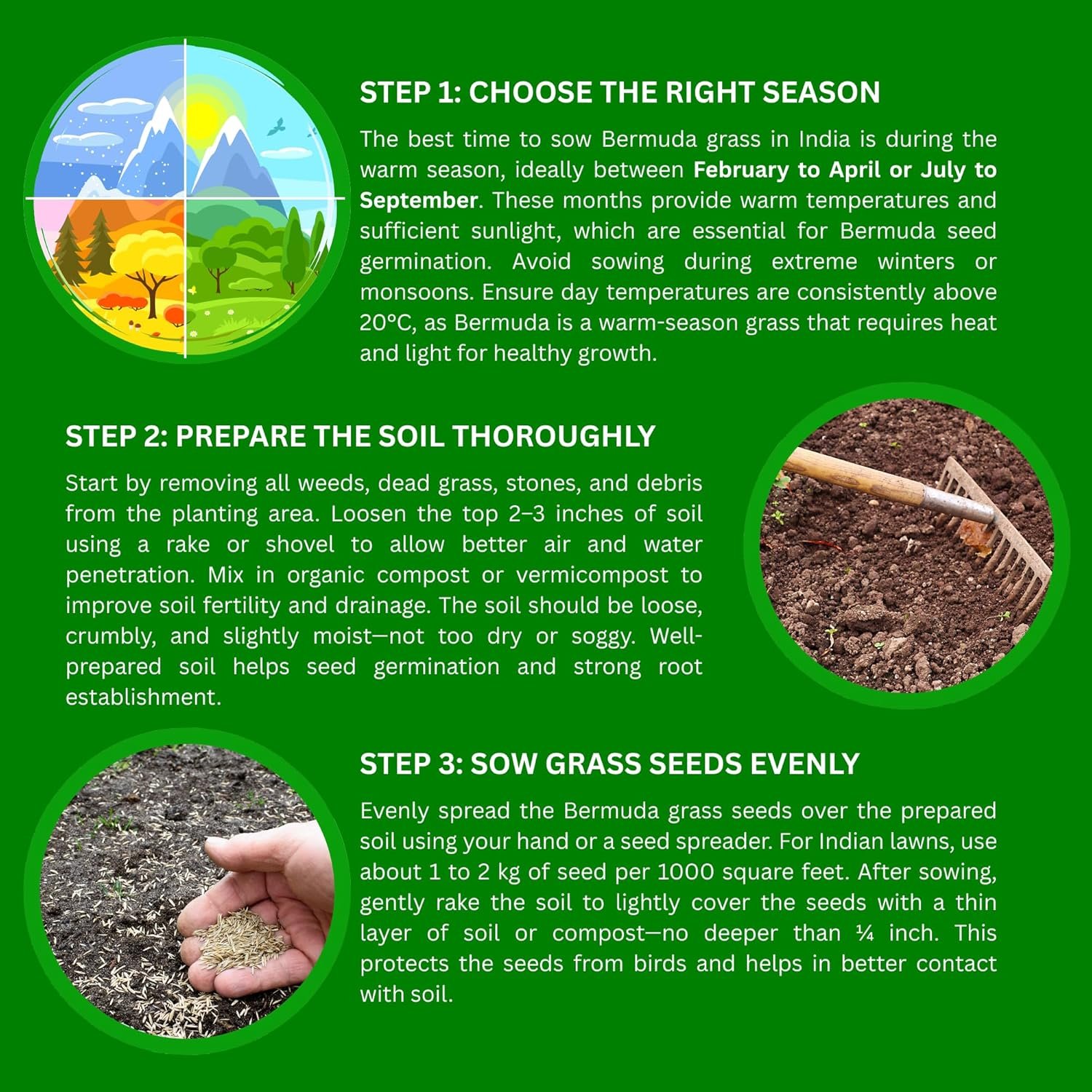 American Bermuda Grass Seeds for Lawn, Turf, Cricket Ground, Stadium, Park, Farmhouse, Sports Field, Garden Grass, Fast Growing, Green Grass, Gardening Seeds | Free Growing Guide | (10 gram) - Image 6