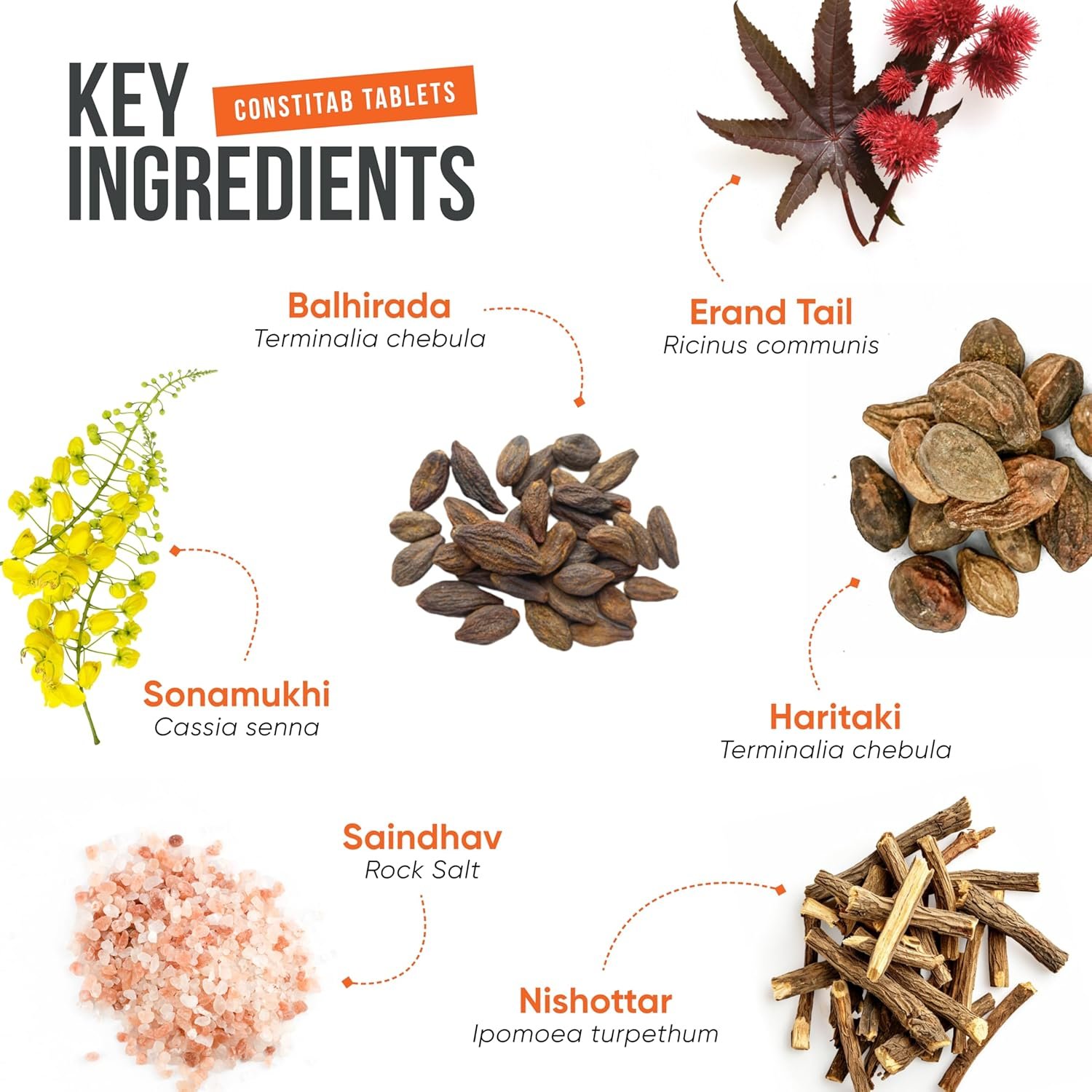 Healing Hands PiloKit Complete Piles Care Kit – 15 Days, Kit includes PiloSpray + PiloTab + ConstiTab, Patented Plant Based Piles Solution, Clinically Proven, Herbal & Natural Piles Care - Image 6