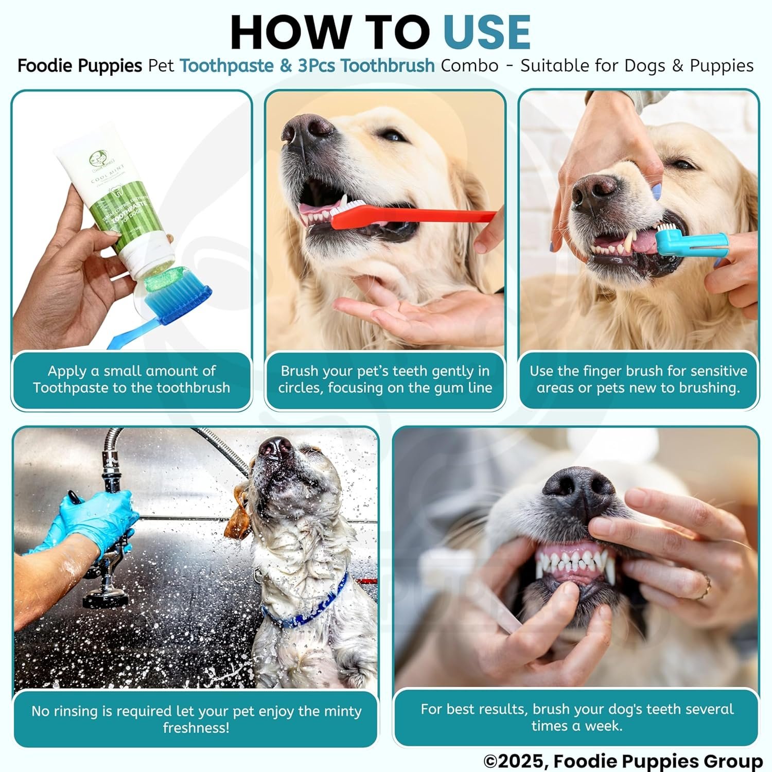 Foodie Puppies Pet Dental Oral Care Kit Combo - (Coolmint Toothpaste- 100g + 3Pcs Toothbrush) for Dogs | Soothes Inflame Gums, Remove Bad Breath, and Mix of Clove & Cinnamon Oil for Dogs and Puppies - Image 7