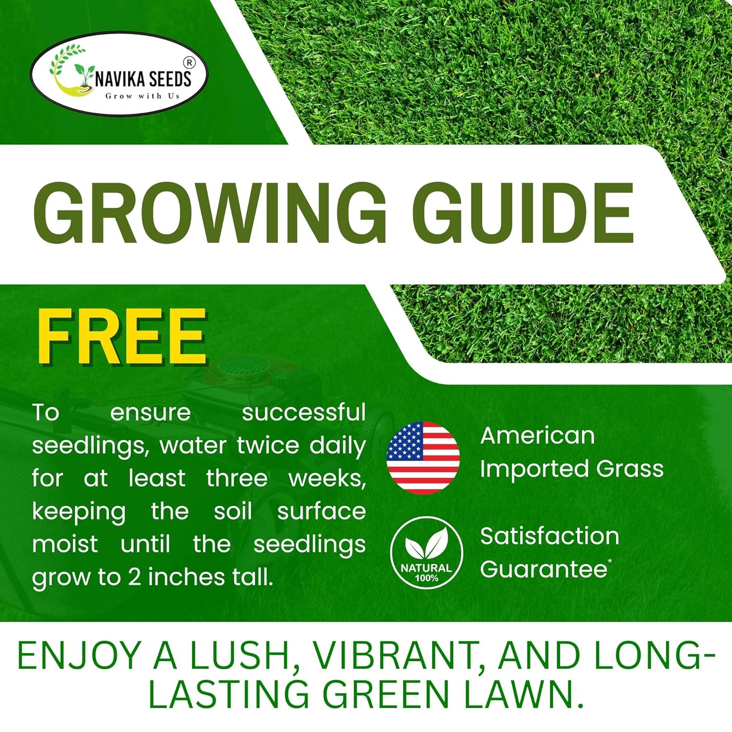 American Bermuda Grass Seeds for Lawn, Turf, Cricket Ground, Stadium, Park, Farmhouse, Sports Field, Garden Grass, Fast Growing, Green Grass, Gardening Seeds | Free Growing Guide | (10 gram) - Image 8