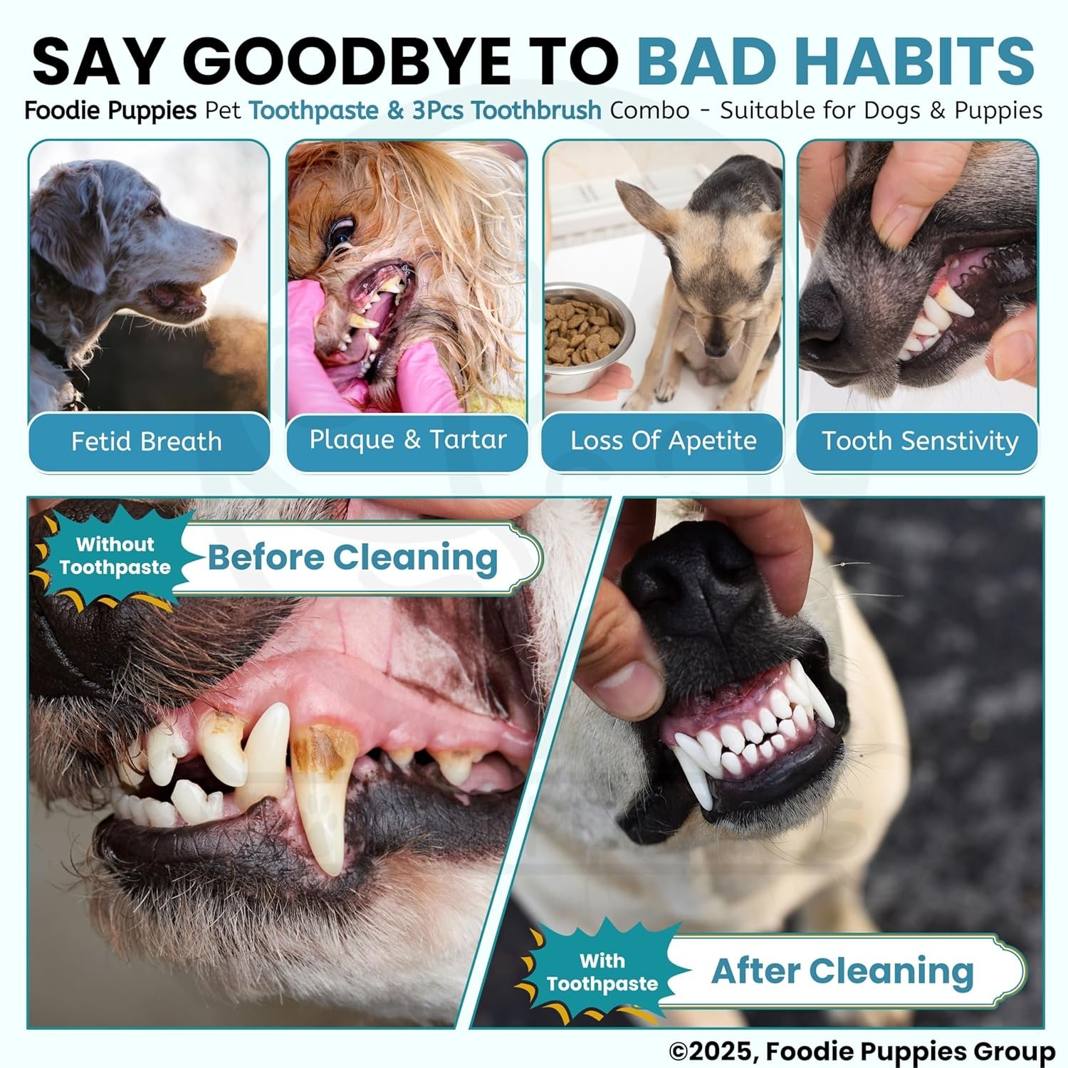 Foodie Puppies Pet Dental Oral Care Kit Combo - (Coolmint Toothpaste- 100g + 3Pcs Toothbrush) for Dogs | Soothes Inflame Gums, Remove Bad Breath, and Mix of Clove & Cinnamon Oil for Dogs and Puppies - Image 8